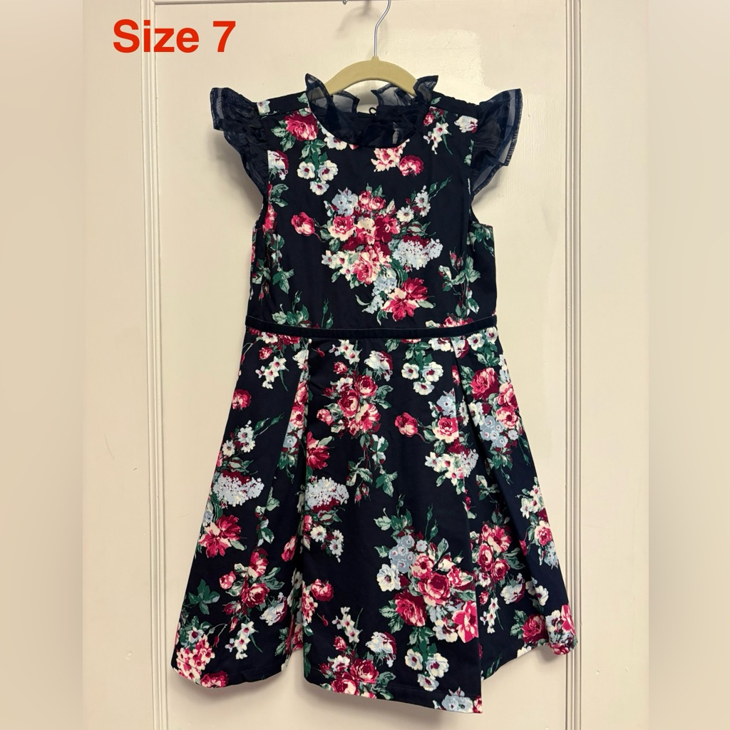 Janie And Jack Navy And Pink Floral Dress Euc